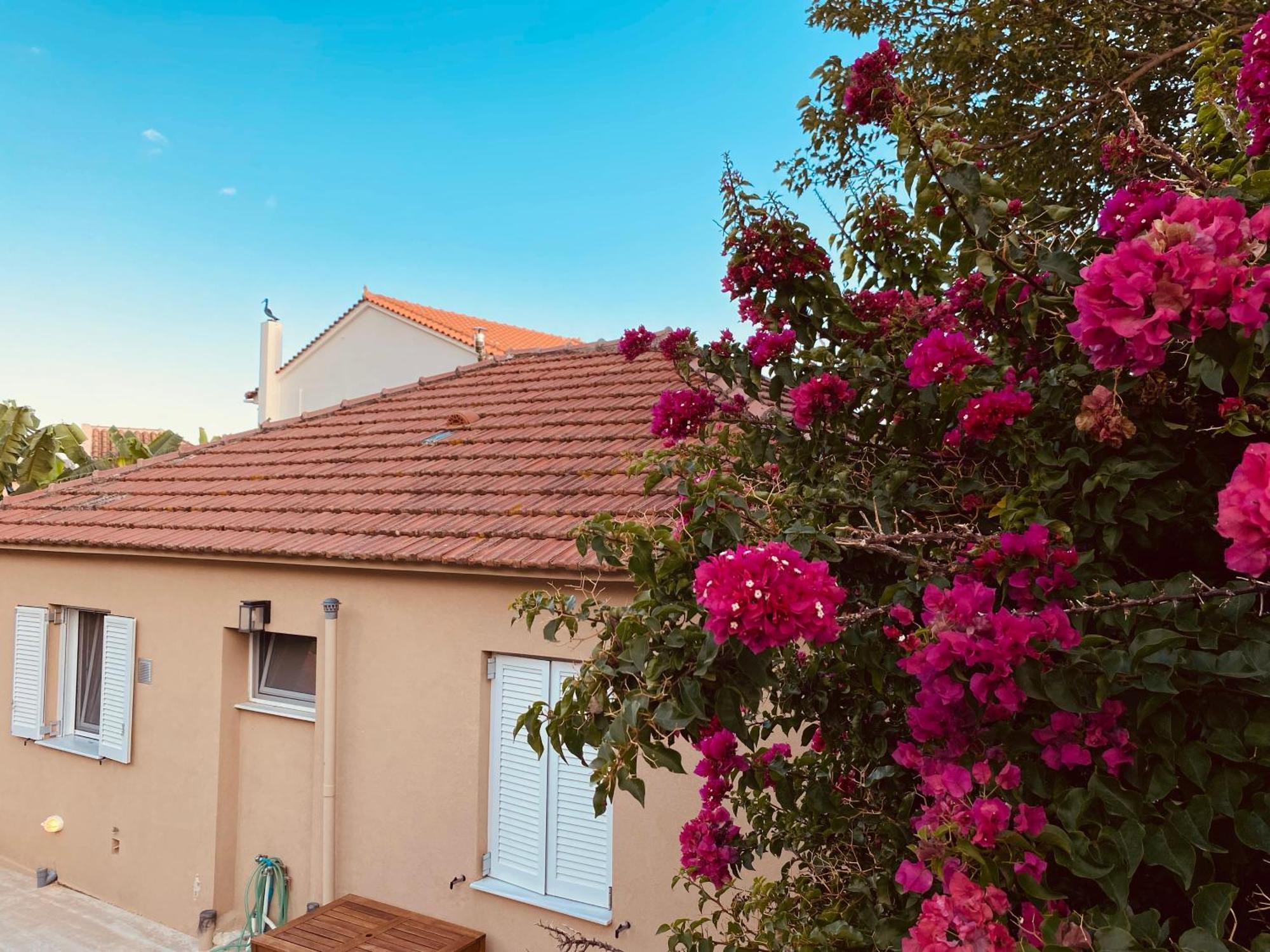 Katoικια Villa Lourdata  Dış mekan fotoğraf