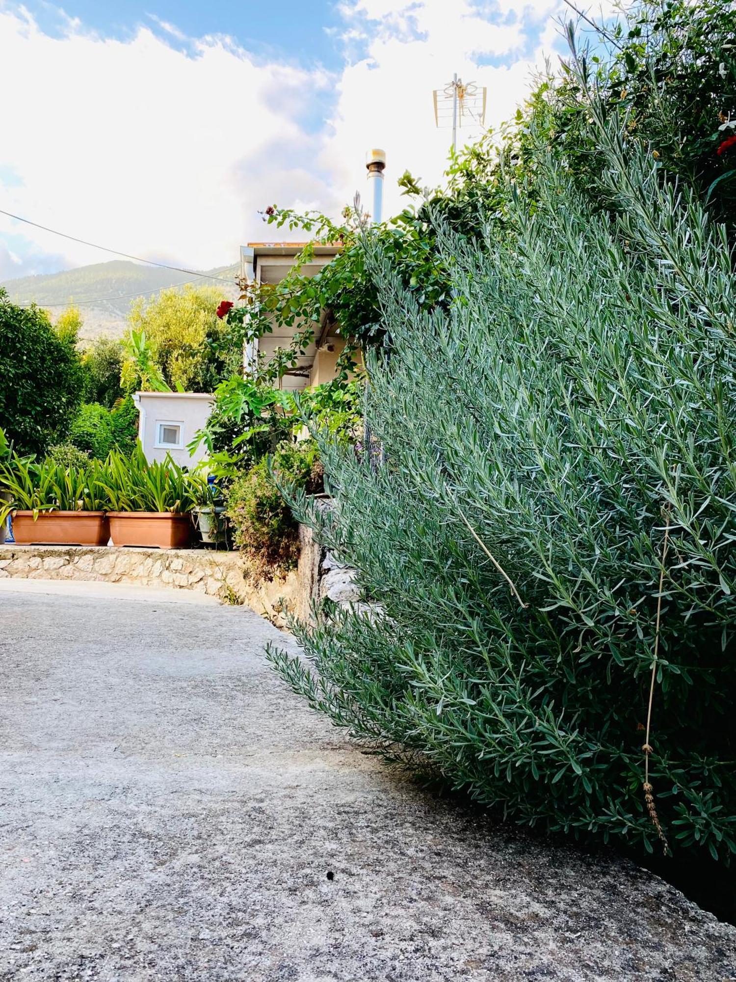 Katoικια Villa Lourdata  Dış mekan fotoğraf